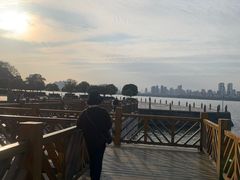 -燕鸣岛