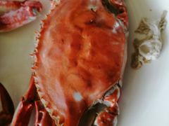 -叶存利海鲜大馅饺子(东戴河止锚湾店)