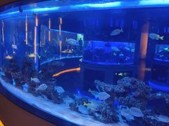 -上和臻品中国菜(花园街店)