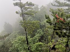 -老界岭旅游度假区