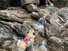 -黄山翡翠谷景区