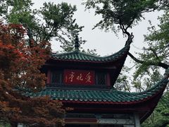 -岳麓山风景名胜区