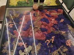 -PlantsEatery·植物食堂(REX春熙店)