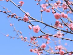 -北龙湖湿地公园