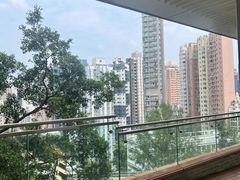 -香港大学