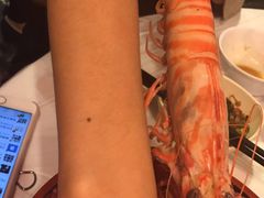 -鲜入围煮花胶鸡海鲜火锅