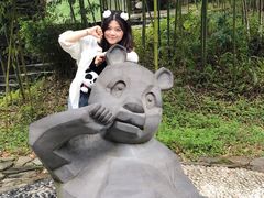 -都江堰中华大熊猫苑