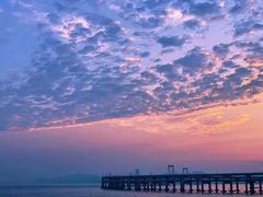 -星海湾跨海大桥