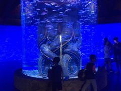 -哈尔滨波塞冬海底世界
