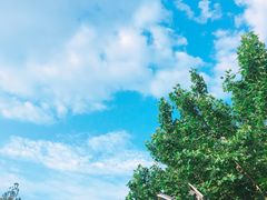 -美滋滋尚鱼烤鱼餐厅(空港店)