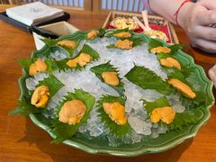 -月龍吟(朝龙汇店)