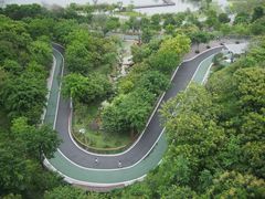 -飞凤山奥体公园