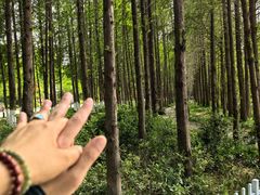 -云龙湖旅游景区