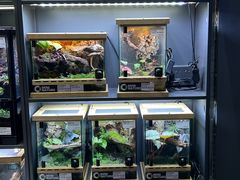 -博纳UA影城(KK Mall IMAX店)