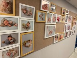 -杭州贝瑞斯美华妇儿医院·早孕·产检·儿科