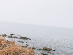-同裕烧烤·海鲜·家常菜(杰座·欧洲城店)