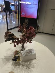 -美丽妈妈产后恢复中心(三林店)