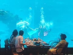 -海棠湾洲际-涛·海底餐厅·美人鱼·自助餐·海底隧道