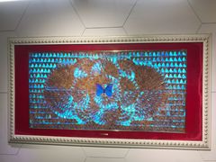 -上海昆虫博物馆