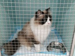 -荔康动物医院(康王北路店)