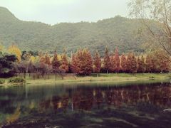 -贵阳市花溪国家城市湿地公园