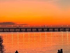 -宝安西湾红树林湿地公园