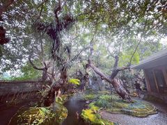 -Chom Cafe and Restaurant