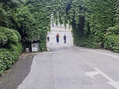 -巴倒烫陆派火锅山庄(南山总店)