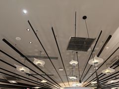 -雀蓝川菜(滨湖万象汇店)