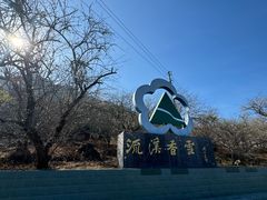 -广州市流溪河国家森林公园