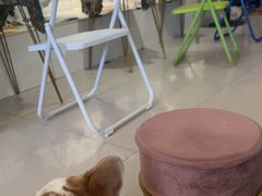 -平行世界·猫咖(首经贸店)
