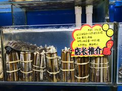-蚝专家(北滘店)