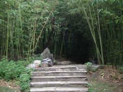 -紫竹院公园冰场