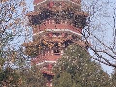 -云龙湖旅游景区