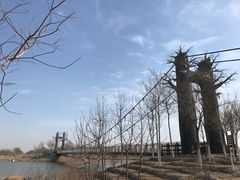-西青郊野公园