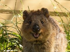 -萨莉亚意式餐厅(浦江万达广场店)