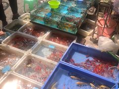 -清平路水族市场