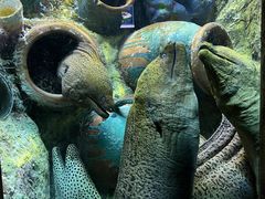 -太平洋海底世界