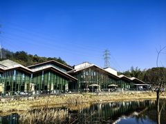 -西湖风景区-江洋畈生态公园