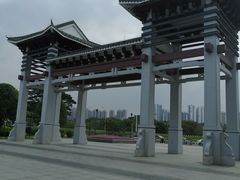 -王借岗森林公园