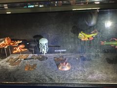 -同济大学四平路校区深海探索馆