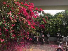 -低涌(地铁站)