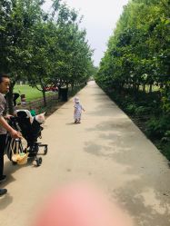 -优沃得自然教育农场·冰雪乐园·生日会·研学