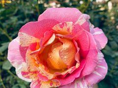 -人民公园(罗湖区)