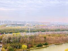 -自然谷恐龙园