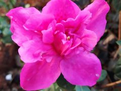 -双龙商场(环城南路店)