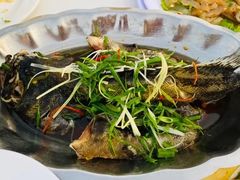 越式清蒸白鲳鱼-越海渔村
