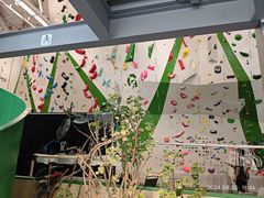 -绿壁虎攀岩基地(Tcar店)