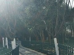 -长乐公园游乐场