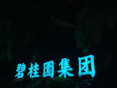 -碧桂园总部大楼